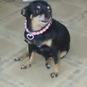 Meet your Posher, Leticia